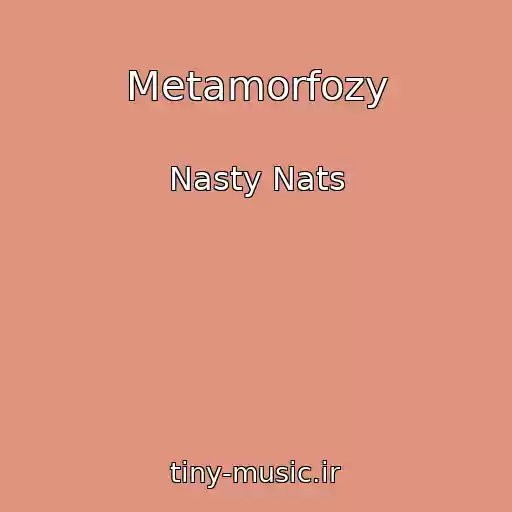 کاور آهنگ Metamorfozy از Nasty Nats