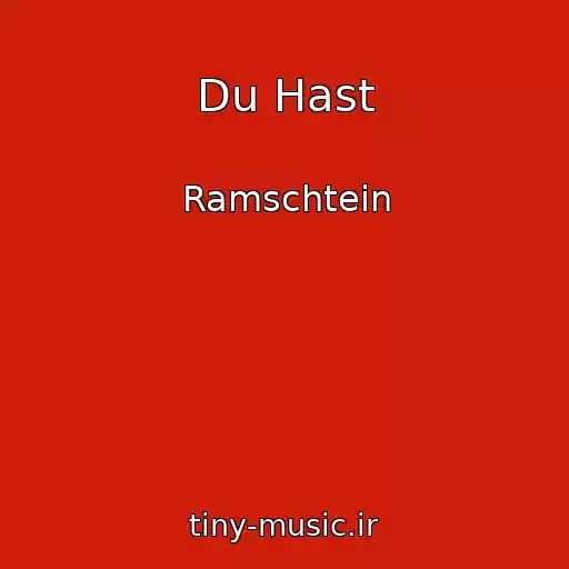 کاور آهنگ Du Hast از Ramschtein