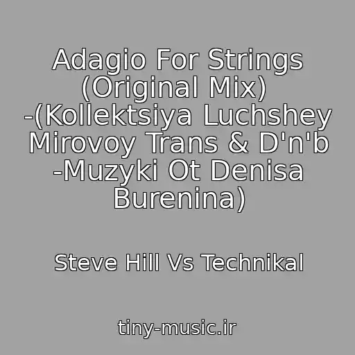 کاور آهنگ Adagio For Strings (Original Mix)  -(Kollektsiya Luchshey Mirovoy Trans & D'n'b -Muzyki Ot Denisa Burenina) از Steve Hill Vs Technikal