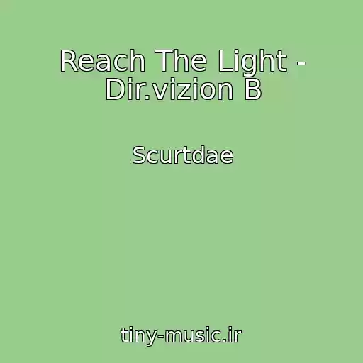 کاور آهنگ Reach The Light - Dir.vizion B از Scurtdae