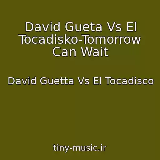 کاور آهنگ David Gueta Vs El Tocadisko-Tomorrow Can Wait از David Guetta Vs El Tocadisco