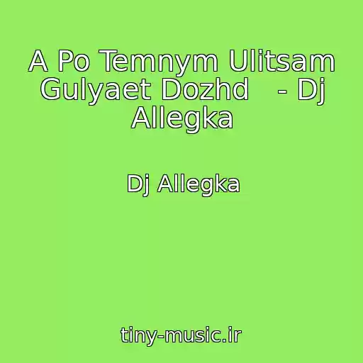 کاور آهنگ A Po Temnym Ulitsam Gulyaet Dozhd   - Dj Allegka از Dj Allegka
