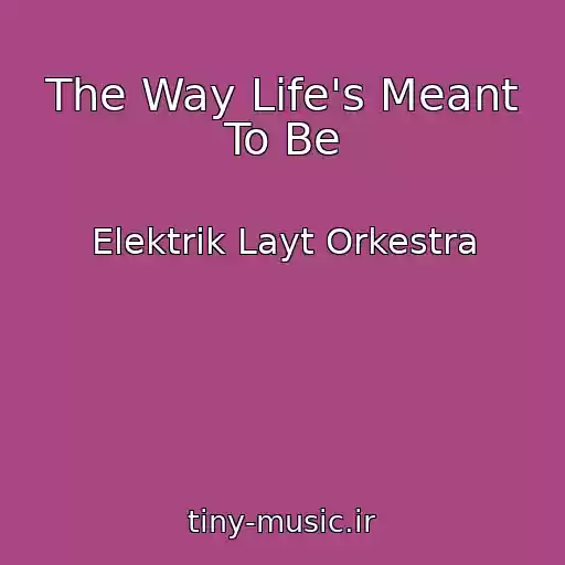 کاور آهنگ The Way Life's Meant To Be از Elektrik Layt Orkestra