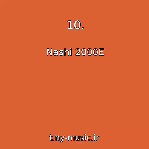 کاور آهنگ 10. از Nashi 2000E