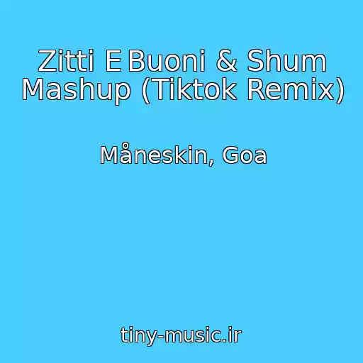 کاور آهنگ Zitti E Buoni & Shum Mashup (Tiktok Remix) از Måneskin, Goa
