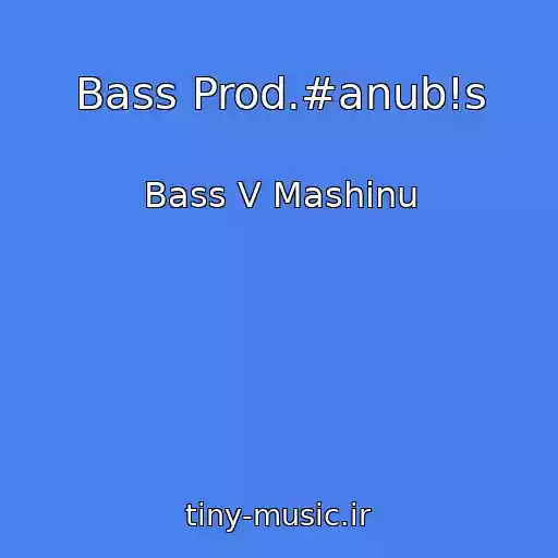 کاور آهنگ Bass Prod.#anub!s از Bass V Mashinu