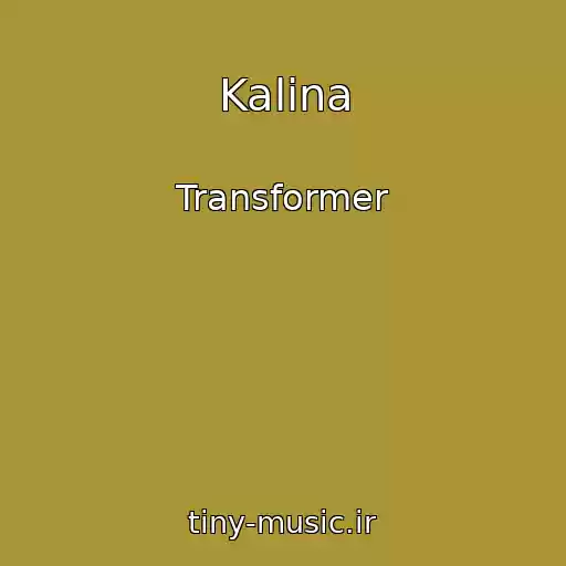 کاور آهنگ Kalina از Transformer
