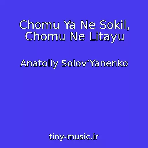 کاور آهنگ Chomu Ya Ne Sokіl, Chomu Ne Lіtayu از Anatolіy Solov’Yanenko