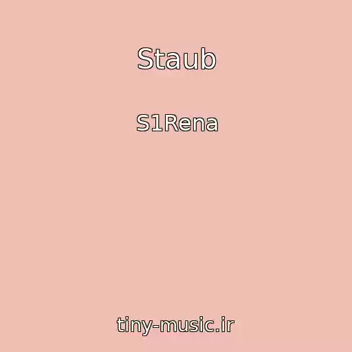 کاور آهنگ Staub از S1Rena