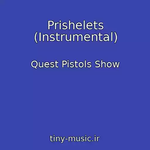 کاور آهنگ Prishelets (Instrumental) از Quest Pistols Show