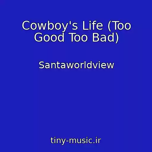 کاور آهنگ Cowboy's Life (Too Good Too Bad) از Santaworldview