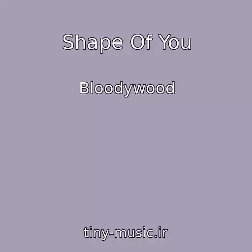 کاور آهنگ Shape Of You از Bloodywood