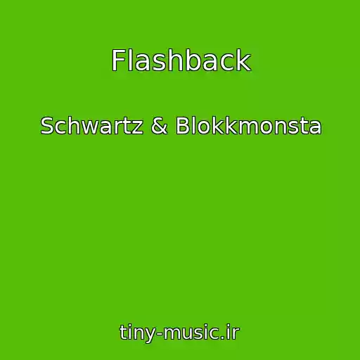 کاور آهنگ Flashback از Schwartz & Blokkmonsta