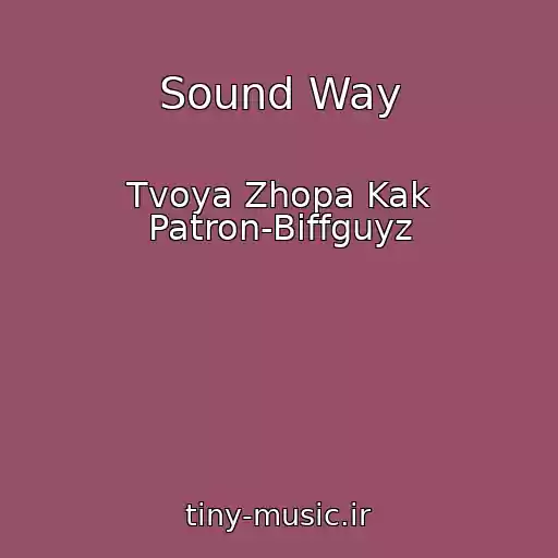 کاور آهنگ Sound Way از Tvoya Zhopa Kak Patron-Biffguyz
