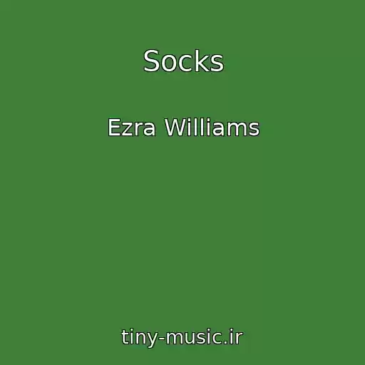 کاور آهنگ Socks از Ezra Williams