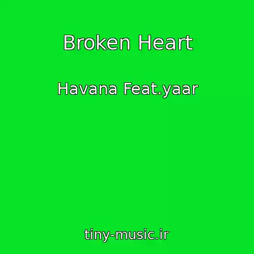 کاور آهنگ Broken Heart از Havana Feat.yaar