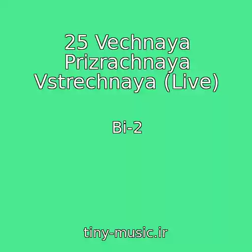 کاور آهنگ 25 Vechnaya Prizrachnaya Vstrechnaya (Live) از Bi-2