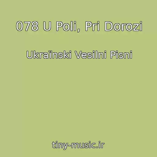 کاور آهنگ 078 U Polі, Pri Dorozі از Ukraїnskі Vesіlnі Pіsnі