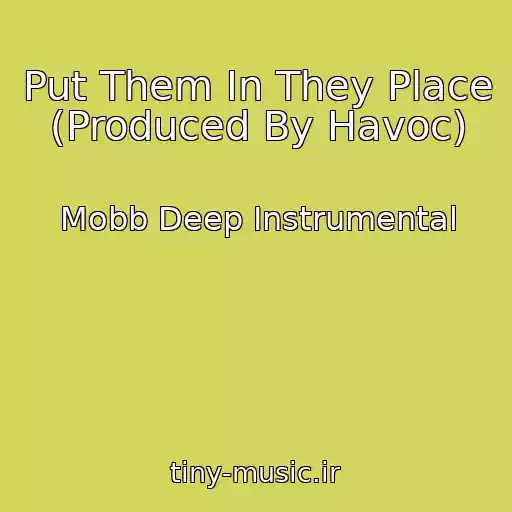 کاور آهنگ Put Them In They Place (Produced By Havoc) از Mobb Deep Instrumental