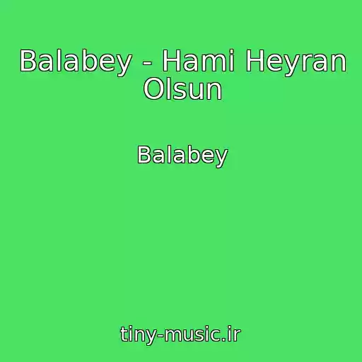 کاور آهنگ Balabey - Hami Heyran Olsun از Balabey