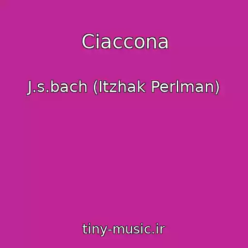 کاور آهنگ Ciaccona از J.s.bach (Itzhak Perlman)