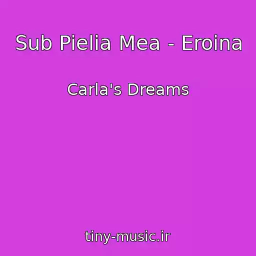 کاور آهنگ Sub Pielia Mea - Eroina از Carla's Dreams