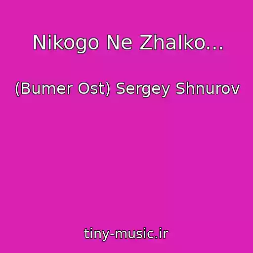 کاور آهنگ Nikogo Ne Zhalko... از (Bumer Ost) Sergey Shnurov