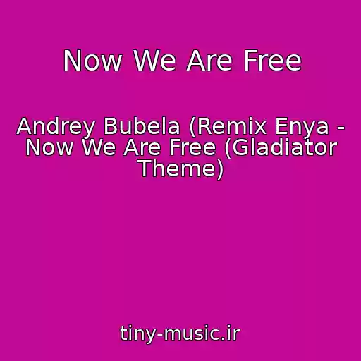 کاور آهنگ Now We Are Free از Andrey Bubela (Remix Enya - Now We Are Free (Gladiator Theme)