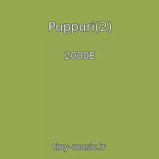 کاور آهنگ Puppuri(2) از 2000E