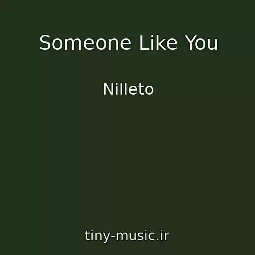 کاور آهنگ Someone Like You از Nilleto