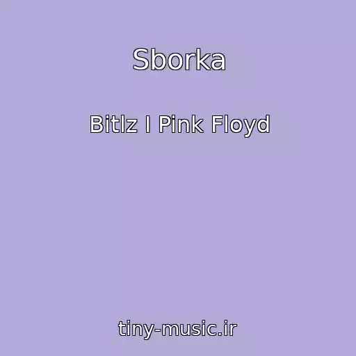 کاور آهنگ Sborka از Bitlz I Pink Floyd