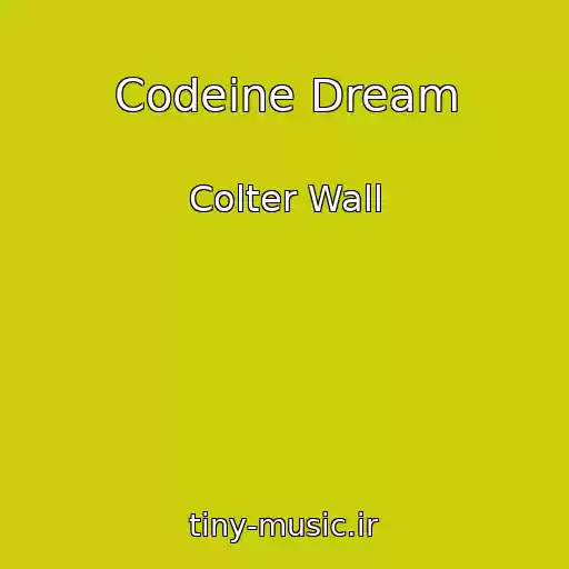 کاور آهنگ Codeine Dream از Colter Wall