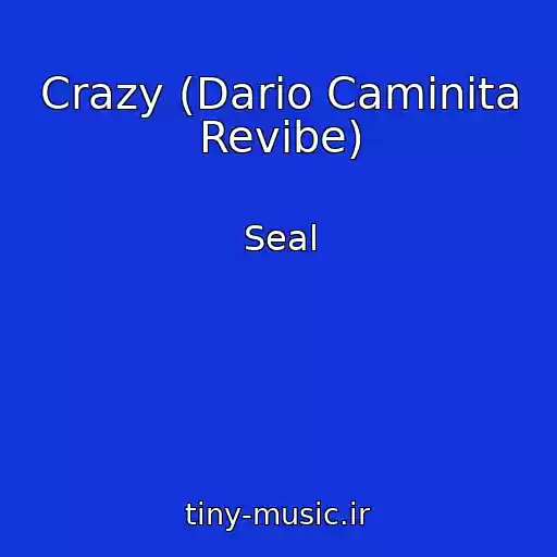 کاور آهنگ Crazy (Dario Caminita Revibe) از Seal