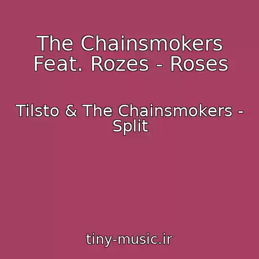 کاور آهنگ The Chainsmokers Feat. Rozes - Roses از Tilsto & The Chainsmokers - Split