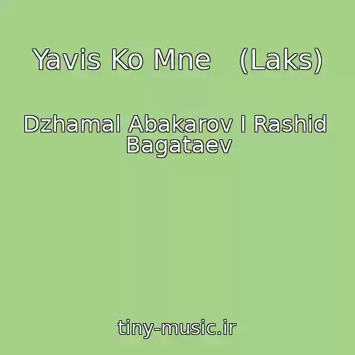 کاور آهنگ Yavis Ko Mne   (Laks) از Dzhamal Abakarov I Rashid  Bagataev