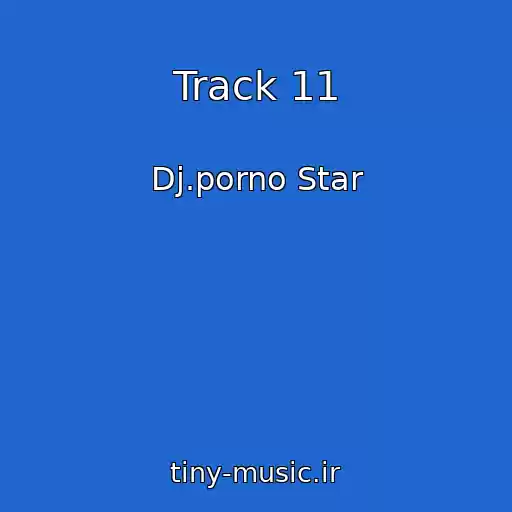کاور آهنگ Track 11 از Dj.porno Star