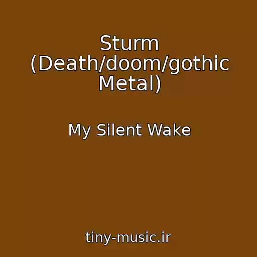 کاور آهنگ Sturm (Death/doom/gothic Metal) از My Silent Wake