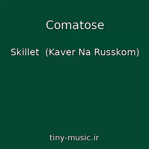 کاور آهنگ Comatose از Skillet  (Kaver Na Russkom)