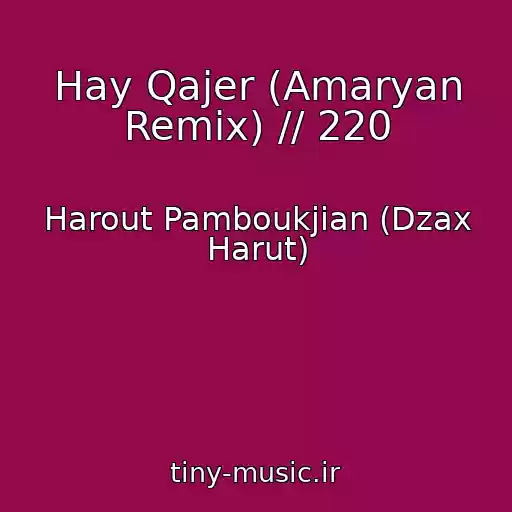 کاور آهنگ Hay Qajer (Amaryan Remix) // 220 از Harout Pamboukjian (Dzax Harut)