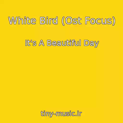 کاور آهنگ White Bird (Ost Focus) از It's A Beautiful Day