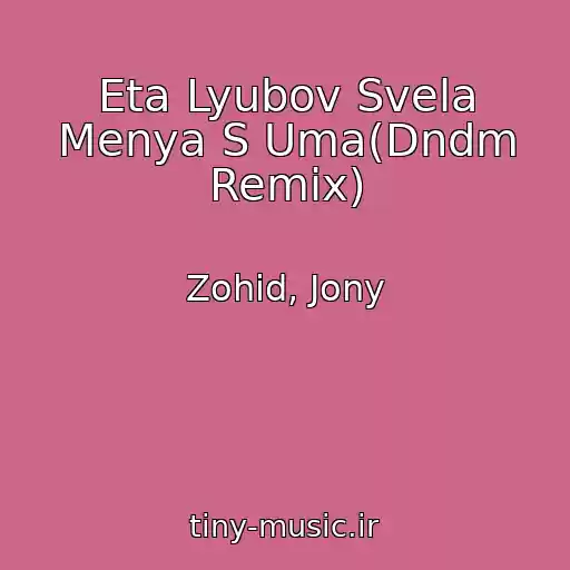 کاور آهنگ Eta Lyubov Svela Menya S Uma(Dndm Remix) از Zohid, Jony