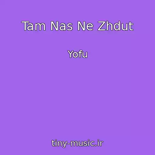 کاور آهنگ Tam Nas Ne Zhdut از Yofu