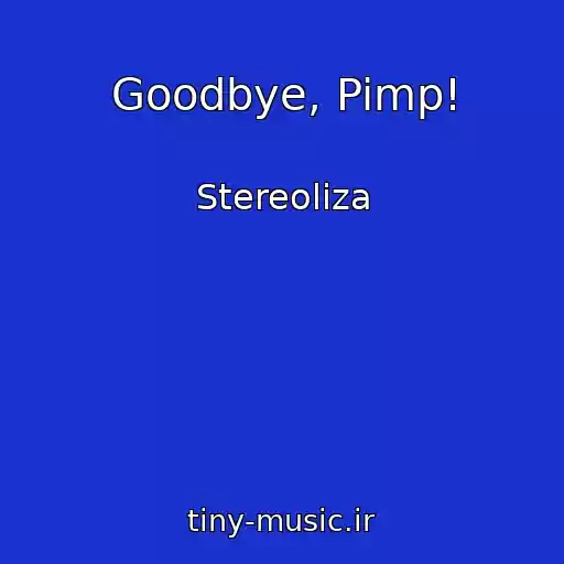 کاور آهنگ Goodbye, Pimp! از Stereoliza