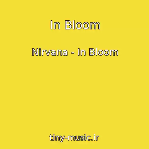 کاور آهنگ In Bloom از Nirvana - In Bloom