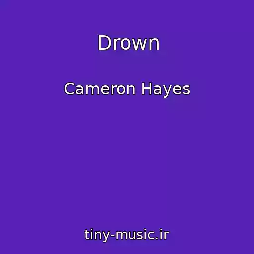 کاور آهنگ Drown از Cameron Hayes