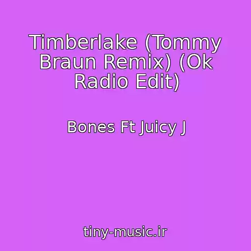 کاور آهنگ Timberlake (Tommy Braun Remix) (Ok Radio Edit) از Bones Ft Juicy J