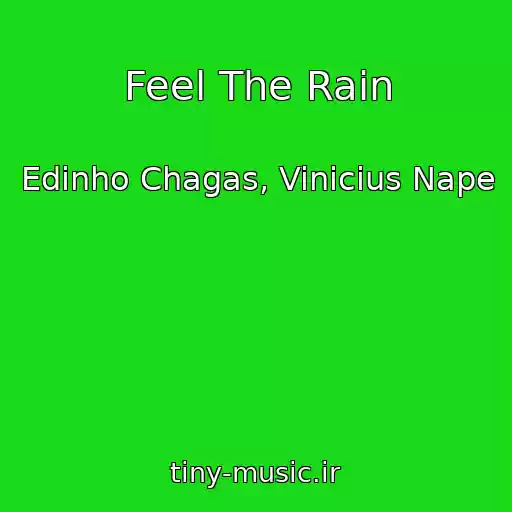 کاور آهنگ Feel The Rain از Edinho Chagas, Vinicius Nape