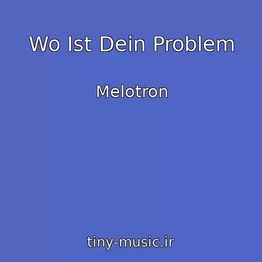 کاور آهنگ Wo Ist Dein Problem از Melotron