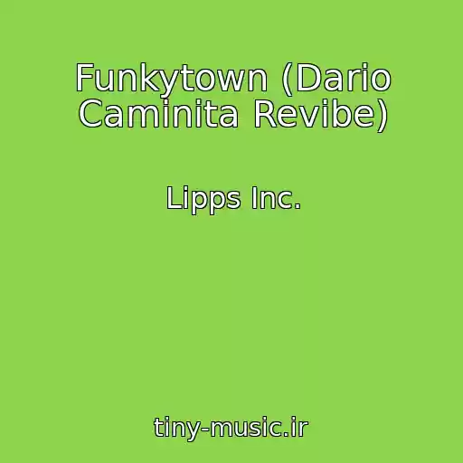 کاور آهنگ Funkytown (Dario Caminita Revibe) از Lipps Inc.