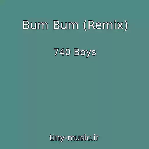 کاور آهنگ Bum Bum (Remix) از 740 Boys